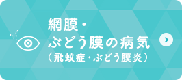網膜・ぶどう膜の病気（飛蚊症・ぶどう膜炎）