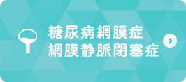 糖尿病網膜症 網膜静脈閉塞症