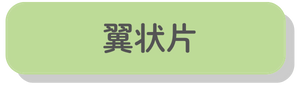 翼状片