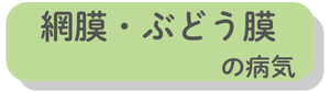 網膜・ぶどう膜の病気