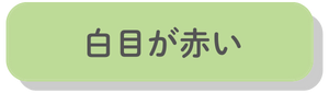 白目が赤い