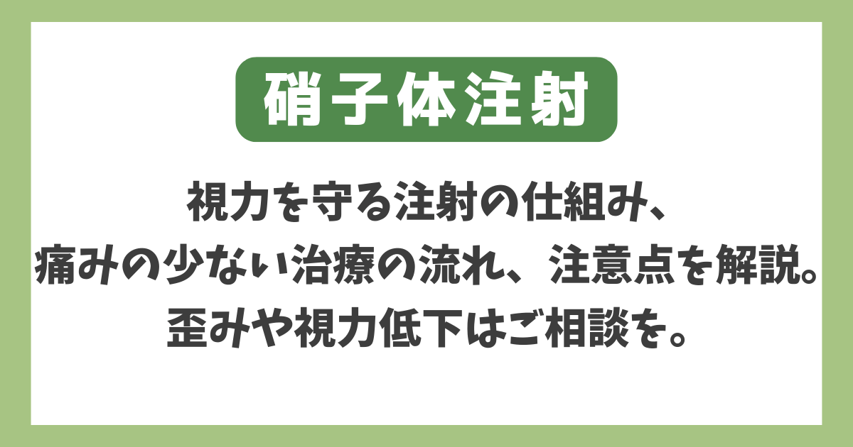 硝子体注射。視力を守る注射の仕組み、痛みの少ない治療の流れ、注意点を解説。歪みや視力低下はご相談を。