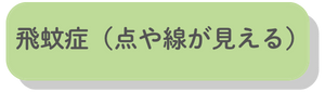 飛蚊症（点や線が見える）